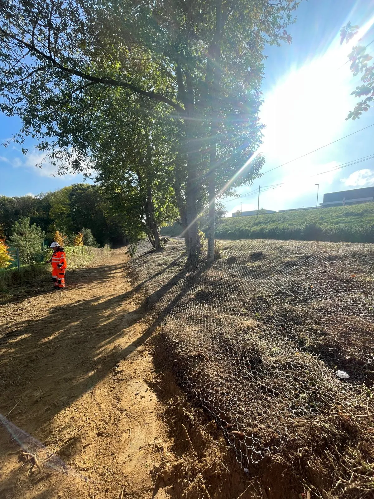 Pose d'un grillage anti-fouisseur sur talus arboré — Saint-Germain-de-la-Grange