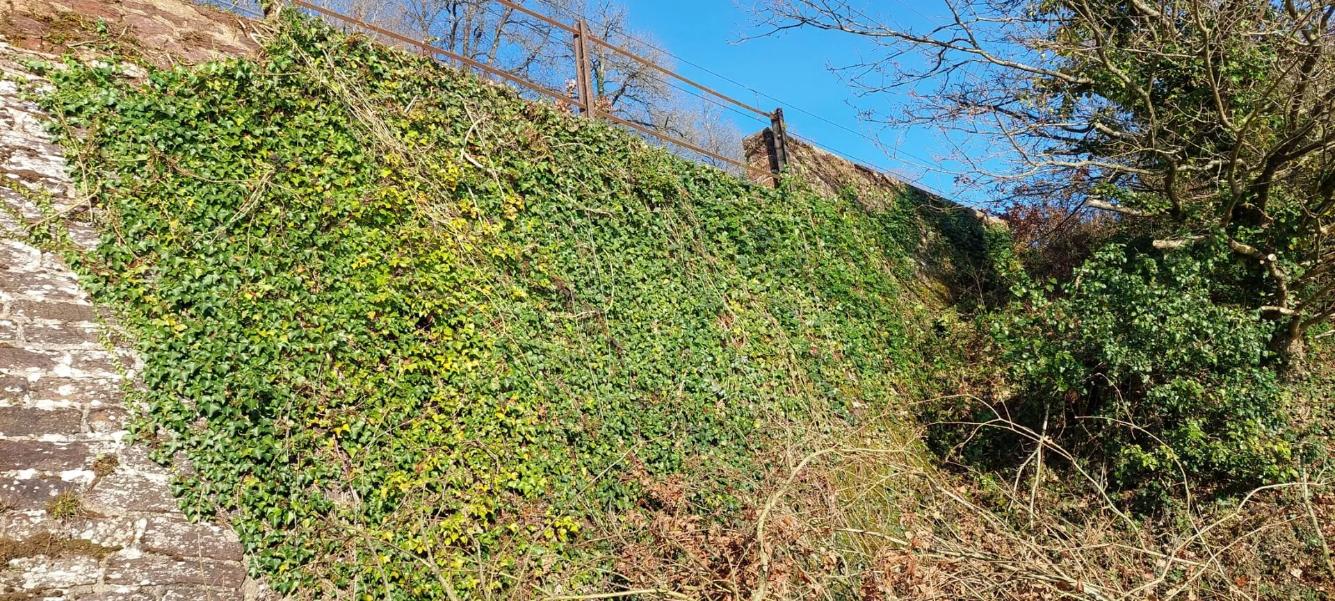 Ouvrage d'art en maçonnerie envahi par la végétation avant nettoyage — Rennes